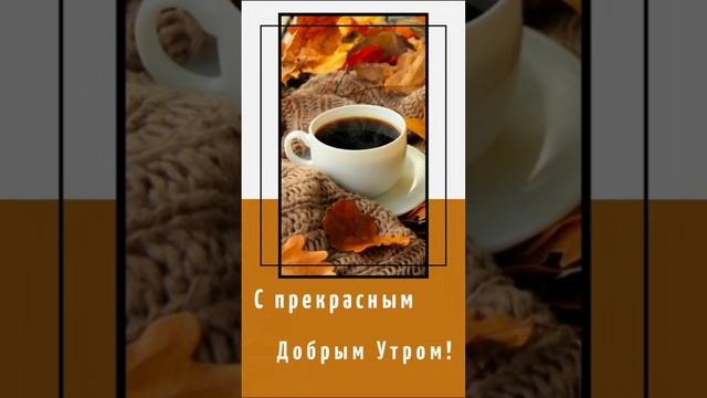 ?Доброе утро осень?  #shorts