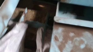 Петкус очистка однолетнего райграса