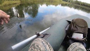 Окунь на TsuYoki Gnom 45SS.Тестирую Norstream Ultra