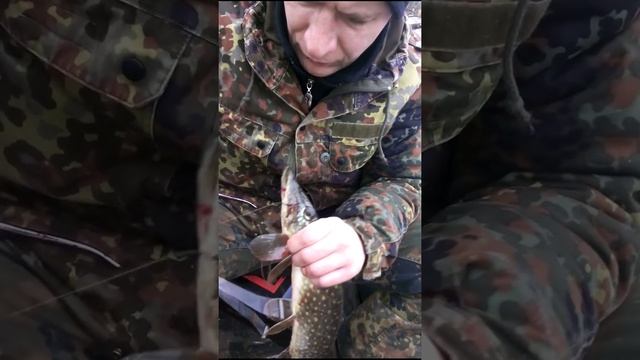 щука на кружки с якорями смотреть онлайн