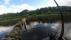 Ловля щуки на блесну с лодки. Старица Тыхтым, река Пышма.