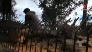 Крокодил схватил за руку смотрителя и потащил