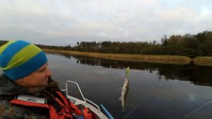 Рыбалка на Финском заливе | Выборгский залив | ОСТОРОЖНО МАТ!