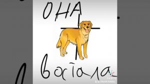 ОнА сОбАкА...