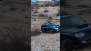 субару форестер против лексус gx на песках