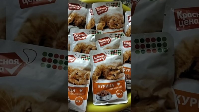 ЧЕМ МОЖНО КОРМИТЬ КОШКУ #shorts