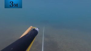 Тест подводного ружья Таймень 600