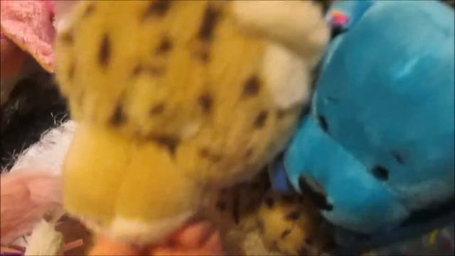 ENTIRE Webkinz Collection 1/1/17 смотреть онлайн