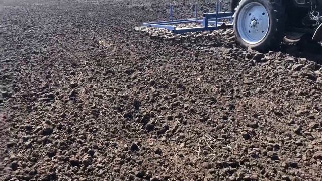 Закрытие влаги , весеннее боронование 2022