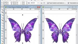 CorelDRAW X5 для начинающих.  Векторная графика (1.1)