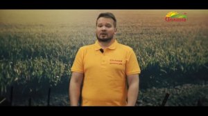 Как выбрать снегоуборщик