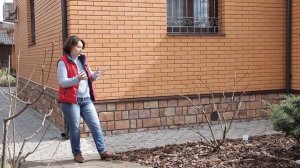 Гортензии I Сад Людмилы Кудасовой