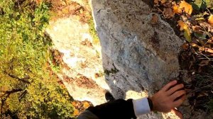 Зиплайн Парк Мишоко (адыгея)