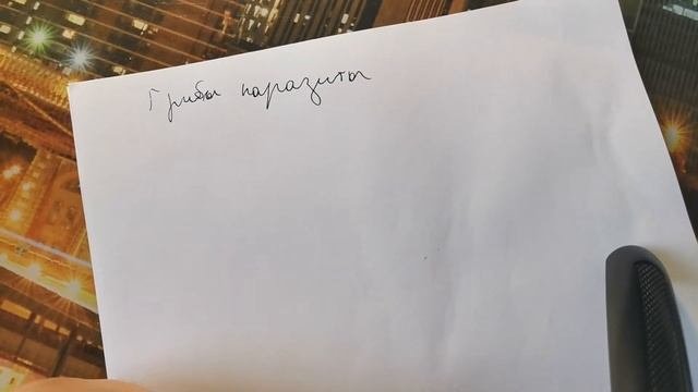 Грибы