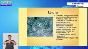 7-класс | Биология | Общая характеристика простейших как одноклеточных организмов