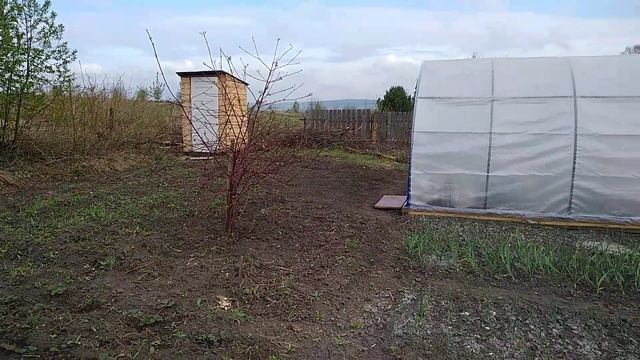 Забрали вещи с дачи. Наводим порядок. Пересадка растений. #пересадкарастений,#наводимпорядоквсаду.