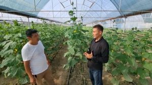 #GuminKZ Жидкий Биогумус ?,за 7 дней ОТЛИЧНЫЙ РЕЗУЛЬТАТ???. #биогумус #черви #земля #компост