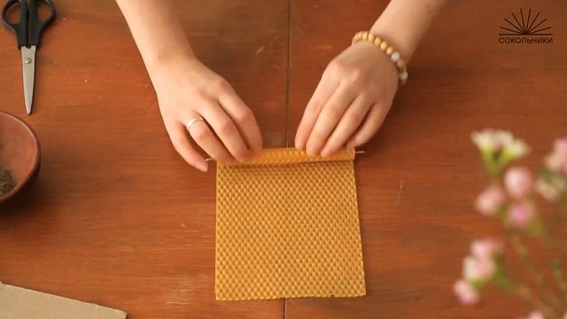 День Земли: мастер-класс по изготовлению свечей из вощины смотреть онлайн