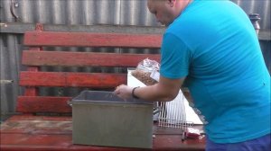 Коптим рыбу на коптильне HANHI.От Русской дымки..