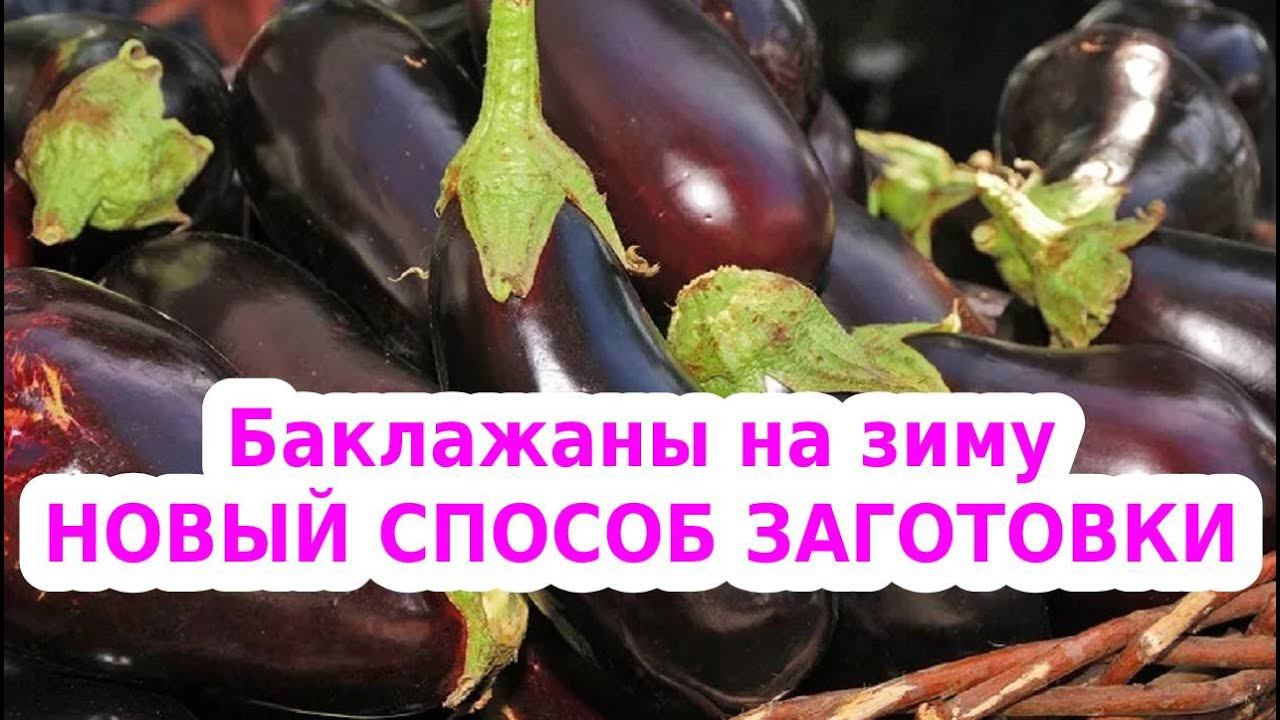 Баклажаны на зиму. Вяленые баклажаны. Обзор дегидратора Oberhof Fruchttrockner В-53