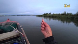 СОМ НА КВОК. Ловим на УРЕЗ. Первый опыт.