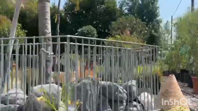 Питомник растений в Черногории Plant Nursery In Montenegro🌿🌿🌿