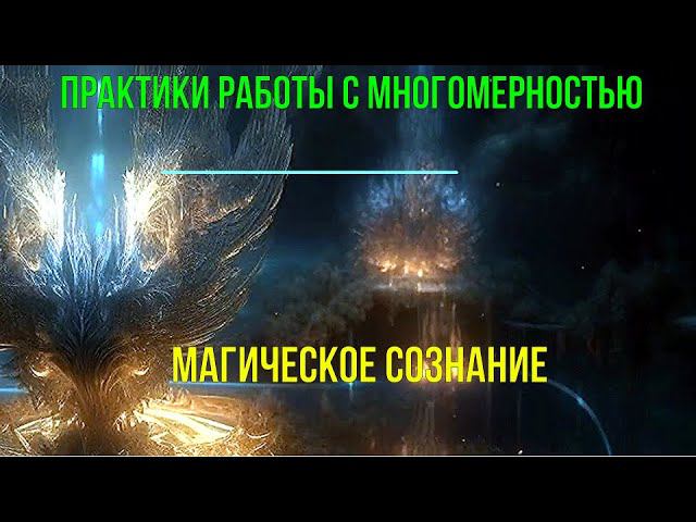 ⚡Полная запись -Магическое Сознание. Практики работы с Многомерностью - семинар онлайн