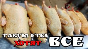 С ЭТОЙ ШТУКОЙ ощип утки НЕ ПРОБЛЕМА. Как ощипывается утка по морозу?