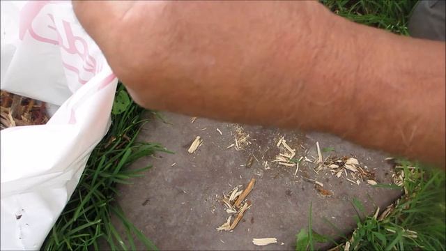 Салака горячего копчения. Как коптить рыбу в домашних условиях смотреть онлайн