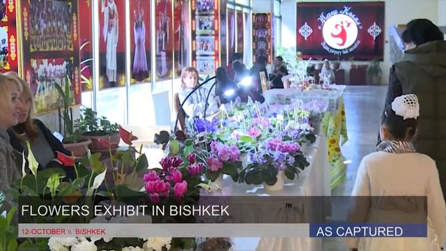 Выставка цветов "Цветочный калейдоскоп" (12.10.2017) смотреть онлайн