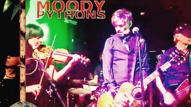 Moody Pythons - Surf Or Die смотреть онлайн