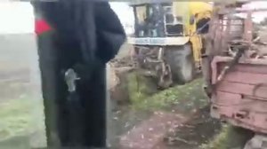 Уборка сахарной свеклы 2020. Трактор Мтз под комбайн. Свеклоуборочный комбайн Kleine