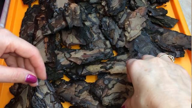 Кора для орхидей. Три способа подготовки коры в домашних условиях. смотреть онлайн