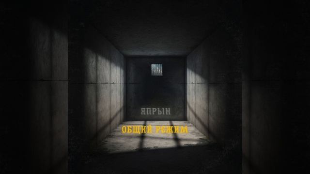 Общий режим