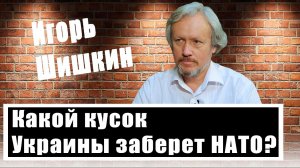 Часть Украины может войти в НАТО - Игорь Шишкин назвал условие