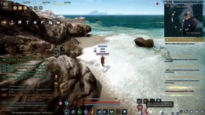 Black Desert Разноцветный кусочек коралла