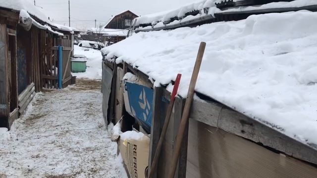 Два салата//Беременные или нет..//За всё благодарю// смотреть онлайн