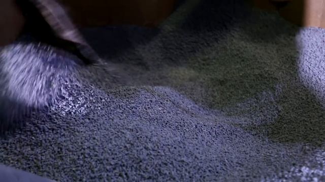 DIGOR HD смотреть онлайн