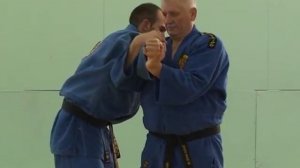 Реальное Айкидо: семинар Любомира Врачаревича.