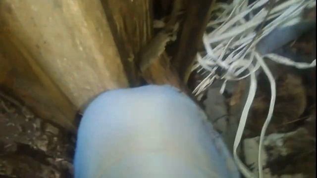 НА УЧАСТКЕ НАШЕЛ : МНОГО МЕДИ, МНОГО ЖЕЛЕЗА, МНОГО АЛЮМИНИЯ смотреть онлайн