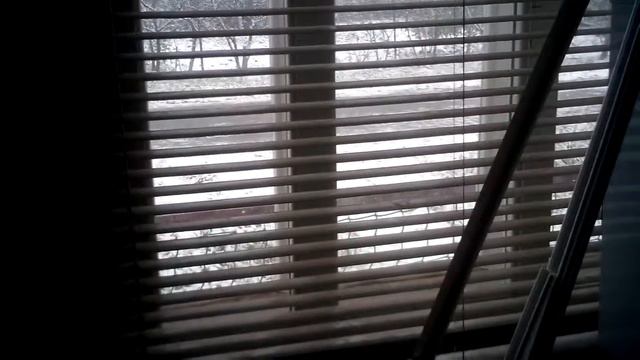 26 октября 2017 года.В нашем городе выпал самый первый снег и многие другие темы разговора.Часть-1 смотреть онлайн