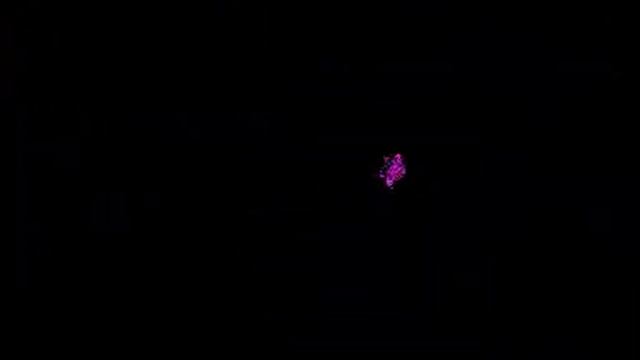 Virtual Boy: Wario Land (Virtual Boy) Gameplay (Intro + Level 1)