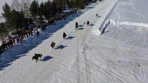 СКАЧКА НА ЛОШАДЯХ ЯКУТСКОЙ ПОРОДЫ