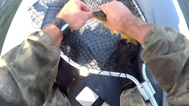 Рыбалка на заливах Красноярского водохранилища/Жор сазана осенью/Перевёртыши ловят/Часть-1 смотреть онлайн