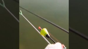 Новый способ ловли рыбы!!ЭТО 🤯 самоподсекающий поплавок