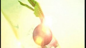 Реклама Сады Придонья: Мультиовощной сок со свеклой