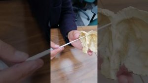 Височная кость