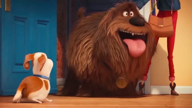 Тайная жизнь домашних животных - обзор мультфильма. Мнение о мультике смотреть онлайн