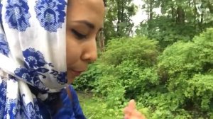 Часовня Святой Блаженной Ксении Петербургской, Санкт-Петербург, Смоленское кладбище, Часть 2