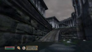 100 Chameleon in Oblivion